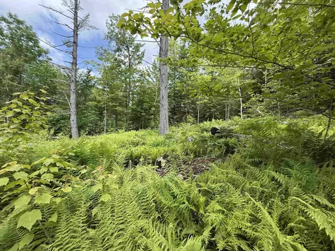 00 Walker Pit Rd, Concord, VT 05906 photo 28