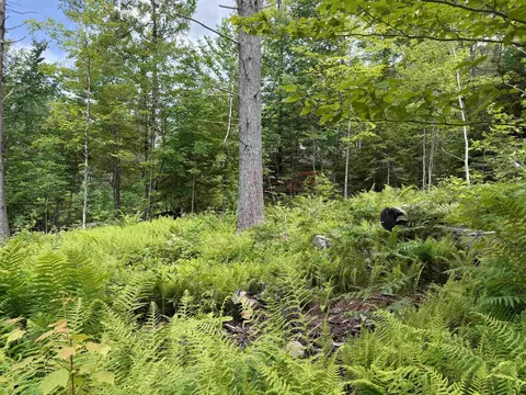 00 Walker Pit Rd, Concord, VT 05906 photo 27