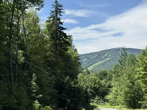 0 Forest Hts, Dover, VT 05356 photo 5