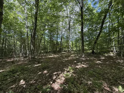 0 Forest Hts, Dover, VT 05356 photo 10