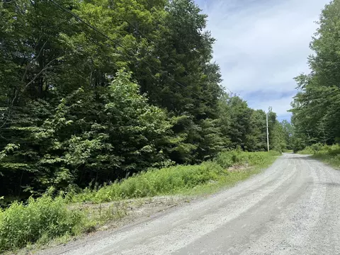 0 Forest Hts, Dover, VT 05356 photo 8