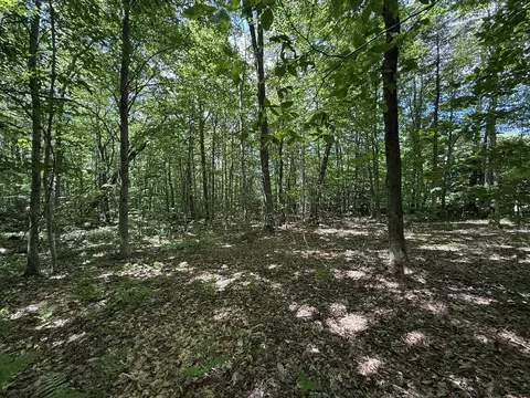 0 Forest Hts, Dover, VT 05356 photo 11
