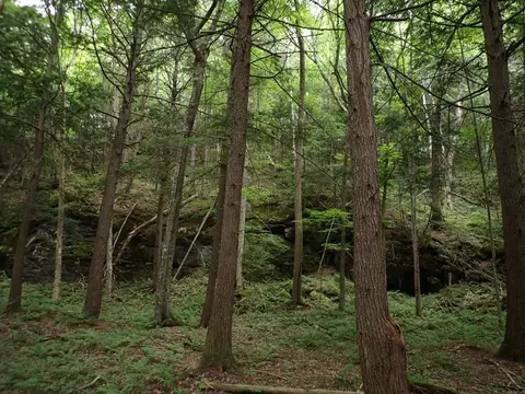 0 Marshall Phillips Rd, Brandon, VT 05733 photo 18