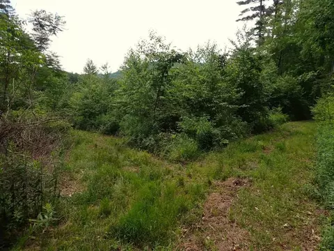 0 Marshall Phillips Rd, Brandon, VT 05733 photo 11