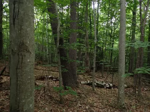 0 Marshall Phillips Rd, Brandon, VT 05733 photo 14