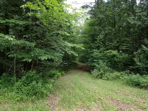 0 Marshall Phillips Rd, Brandon, VT 05733 photo 10
