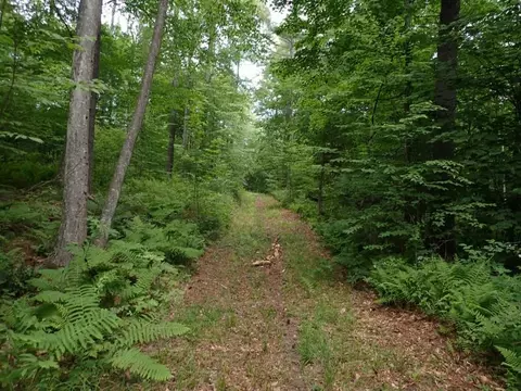 0 Marshall Phillips Rd, Brandon, VT 05733 photo 13