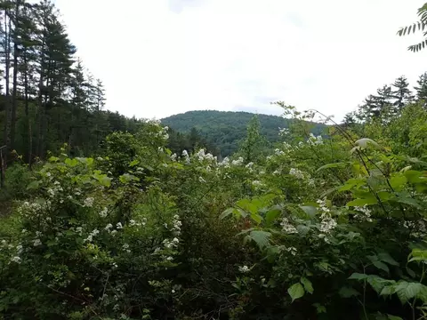 0 Marshall Phillips Rd, Brandon, VT 05733 photo 12