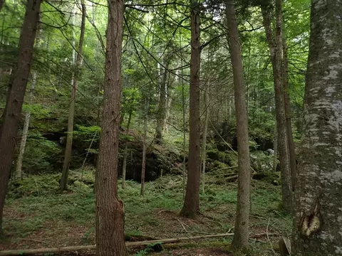 0 Marshall Phillips Rd, Brandon, VT 05733 photo 19