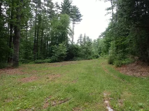 0 Marshall Phillips Rd, Brandon, VT 05733 photo 9