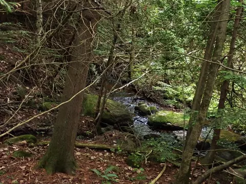 0 Marshall Phillips Rd, Brandon, VT 05733 photo 25