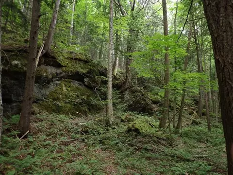 0 Marshall Phillips Rd, Brandon, VT 05733 photo 20