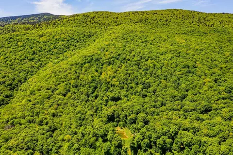 A Windsor Road, Manchester, VT 05255