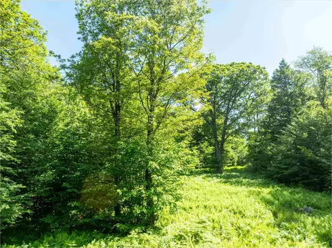 00 Turtle Hill Rd, Ludlow, VT 05149