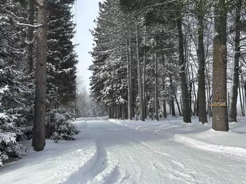 821 Paquette Rd, Craftsbury, VT 05826