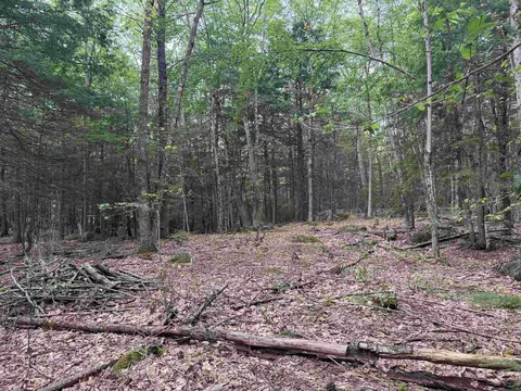 lot R11-11-1 Forest Rd, Hancock, NH 03449