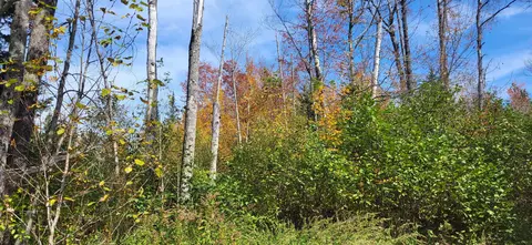 0 Thomas West Rd, Lunenburg, VT 05906 photo 14
