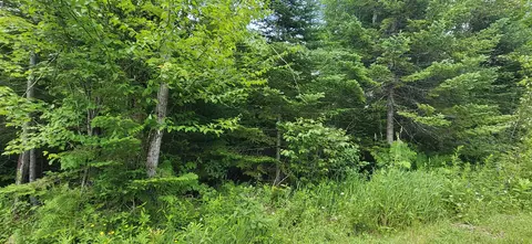 0 Thomas West Rd, Lunenburg, VT 05906 photo 11