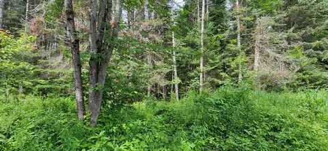 0 Thomas West Rd, Lunenburg, VT 05906 photo 8