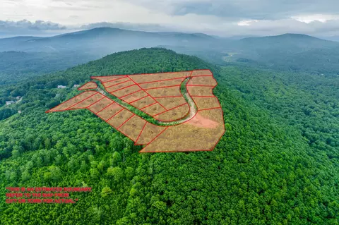 0 Long Stack Ln #47, Alton, NH 03809 photo 2