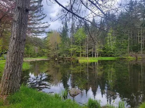 View/Area - 3212 Vt Route 114 E, Norton, VT 05907 photo 2 of 2