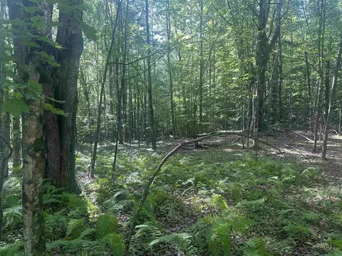 0 Helvi Hl, Mendon, VT 05701