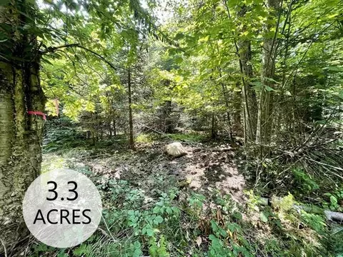 00 Peene Hill Rd, Westmore, VT 05822