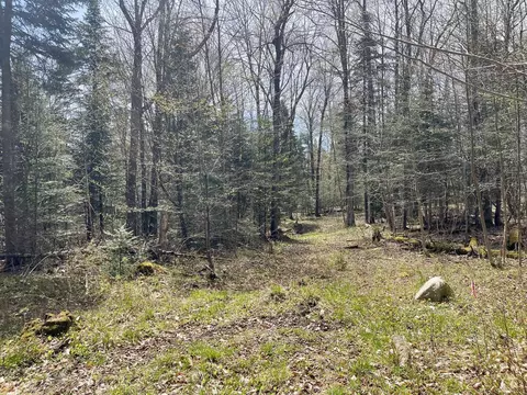 00 Peene Hill Rd, Westmore, VT 05822