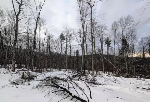 0 Dover Rd, Newfane, VT 05351