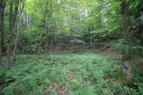 360 Liberty Hill Rd, Pittsfield, VT 05762