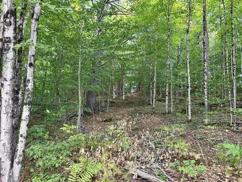 0 Gar Rd, Calais, VT 05650 photo 8