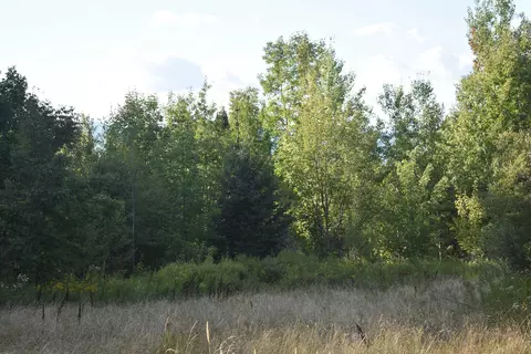 00 Rt 58, Lowell, VT 05847 photo 2