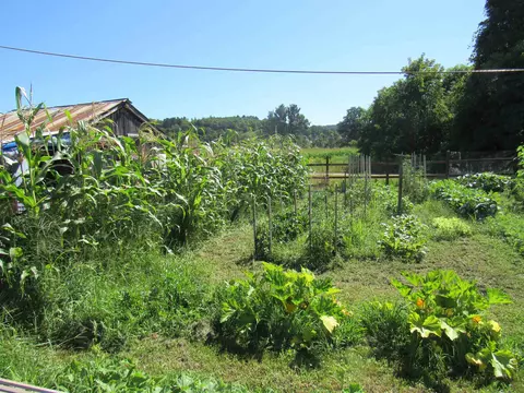 Exterior - 258 Elm St, Barton, VT 05822 photo 8 of 10