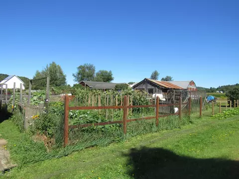 Exterior - 258 Elm St, Barton, VT 05822 photo 7 of 10