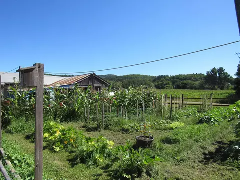 Exterior - 258 Elm St, Barton, VT 05822 photo 9 of 10