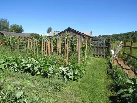 Exterior - 258 Elm St, Barton, VT 05822 photo 10 of 10