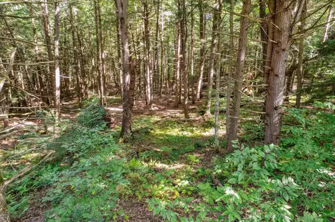 933 Gage Rd, Tunbridge, VT 05077 photo 3