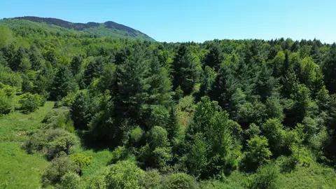 lot0 Darling Rd, Morristown, VT 05661