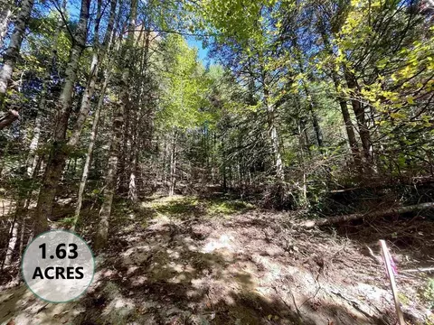 00 Marshall Newland Rd, Burke, VT 05832