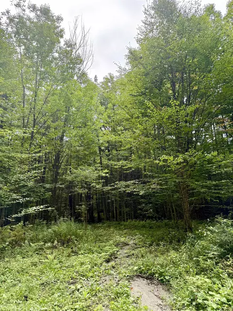 34 Perry Rd, Lunenburg, VT 05906 photo 5