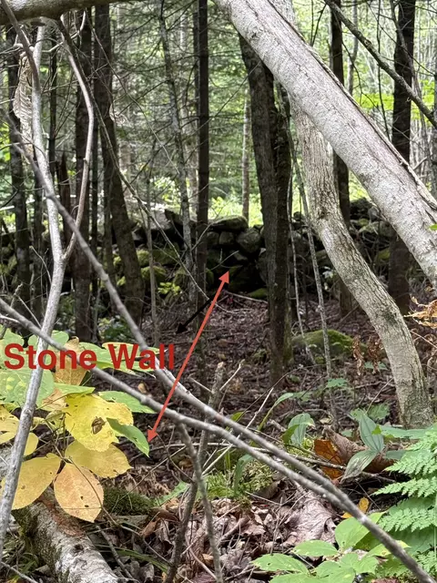 34 Perry Rd, Lunenburg, VT 05906 photo 3
