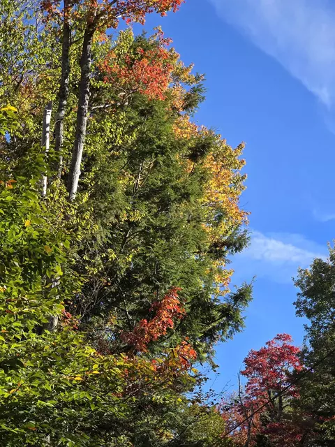 0 Klondike Rd #LOT 2, Stamford, VT 05352