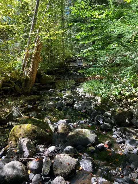 0 Theresa Ln, Wilmington, VT 05363