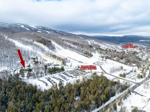 33 Carinthia Rd, Dover, VT 05356