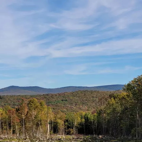 000 Lot B Kinney Hill Rd, Newark, VT 05871