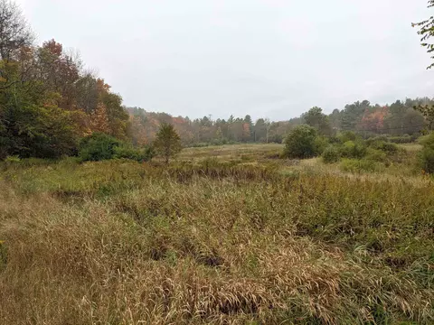 461 Wilmouth Hill Rd, Shrewsbury, VT 05738