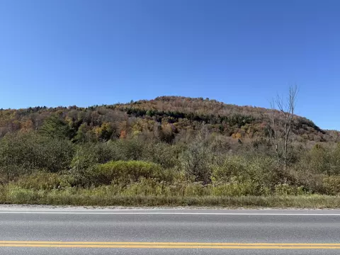0 Vt Rt 14 S, Hardwick, VT 05843
