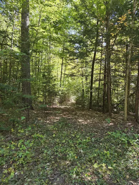 Quiet Cove Way #5, Wilmot, NH 03287