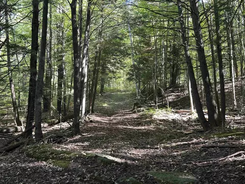 0 North Rd, Milton, VT 05468 photo 45