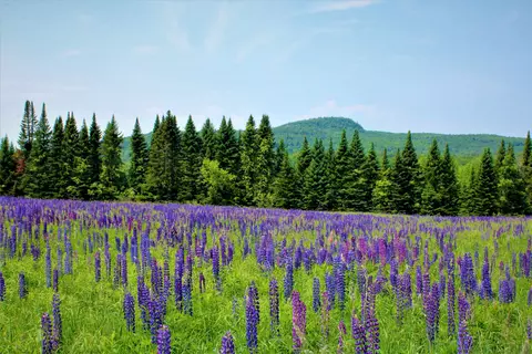 0 North Rd, Milton, VT 05468